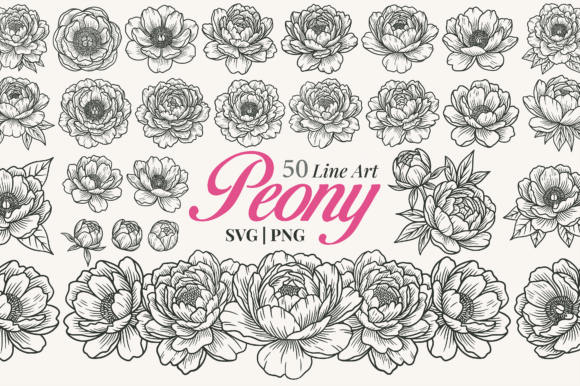 Download Peony Flower Line Art Clipart - Line Collection