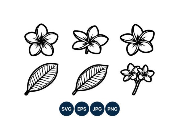Download Plumeria Flower Line Art Vector Set - Line Collection