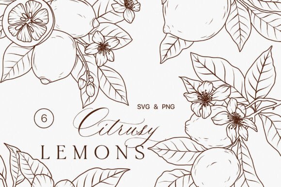 Download Lemon Fruits Line Art Clipart SVG - Lime - Line Collection