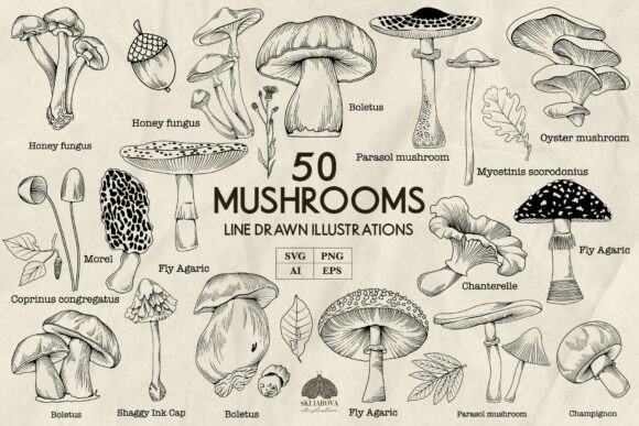 Download Mushrooms Line Art Svg Png Eps - Line Collection