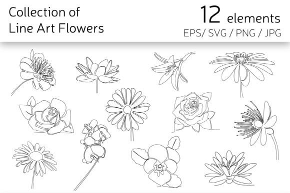 Download Line Art Flowers - Line Collection