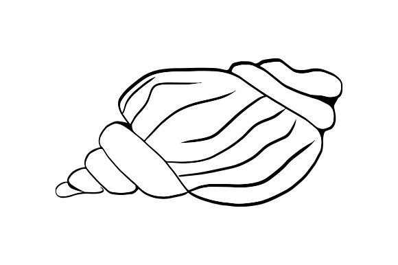 Download Sea Shell Line Art - Line Collection
