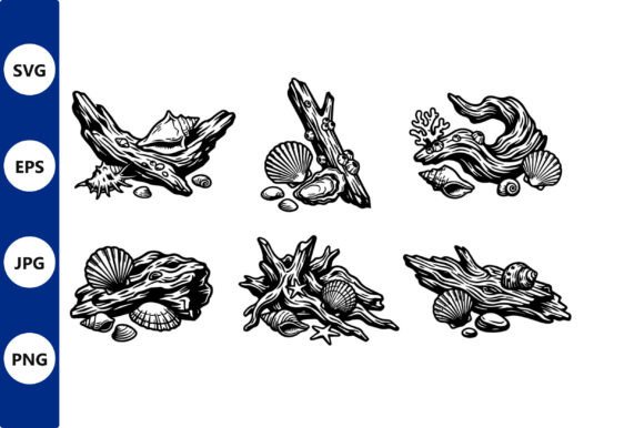 Download Driftwood Seashell Line Art - Line Collection