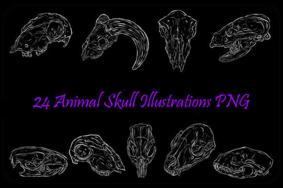 Download White Line Art Animal Skull Halloween - Line Collection