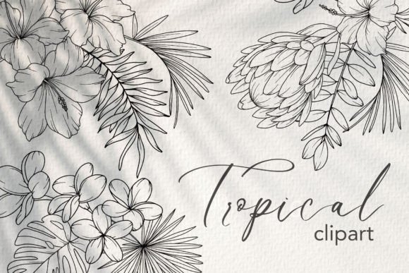 Download Tropical Flower LINE ART. Tropical Plant - Line Collection
