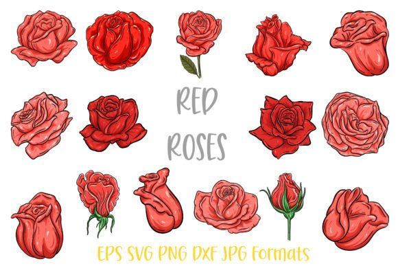 Download Red  Rose Flower Line Art Illustrations - Line Collection