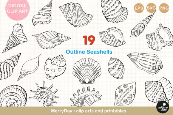 Download 19 Seashell Line Art Drawings. - Line Collection