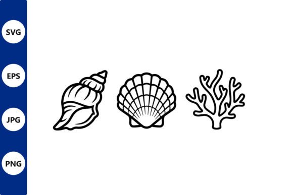 Download Shell Line Art Set Conch Scallop Coral - Line Collection