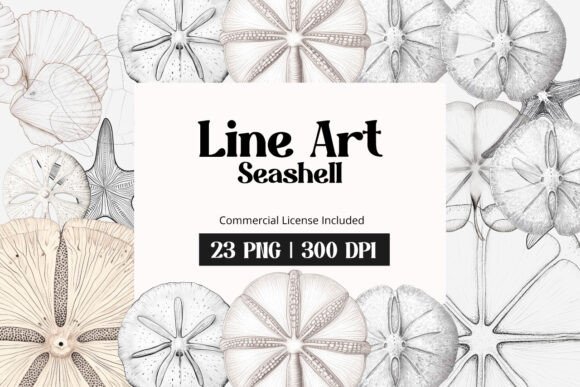 Download Line Art Seashell Clipart - Line Collection
