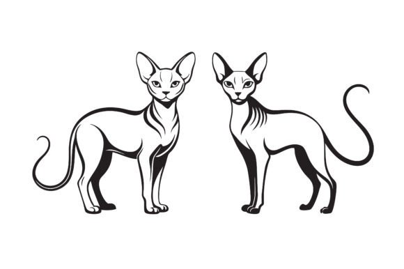 Download Sphynx Cat Line Art Silhouette Bundle. - Line Collection