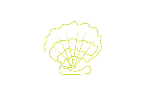 Download Sea Shell Line Art - Line Collection