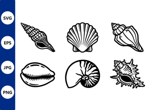 Download Seashell Line Art Vector Set - Line Collection