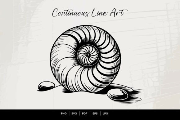 Download Nautilus Shell Line Art Illustration - Line Collection