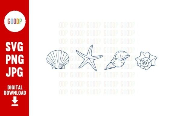 Download Coastal Seashell Line Art PNG - Line Collection
