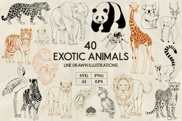 Download Exotic Animals Line Art Svg Png - Line Collection