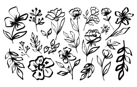 Download Hand Draw Line Flowers and Leaves - Line Collection