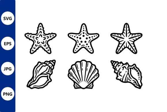 Download Starfish and Seashell Line Art Vector - Line Collection
