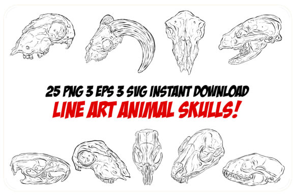 Download Line Art Animal Ram Sheep Skulls Horns - Line Collection