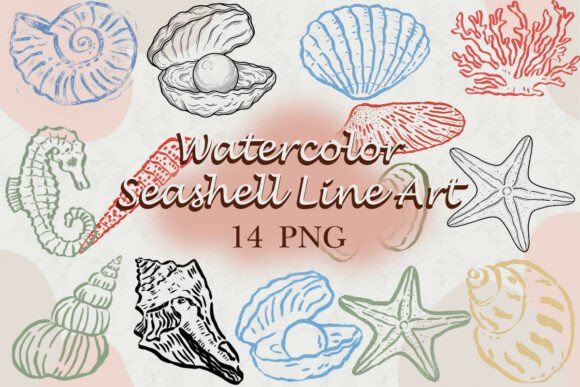 Download Watercolor Seashell Line Art PNG - Line Collection