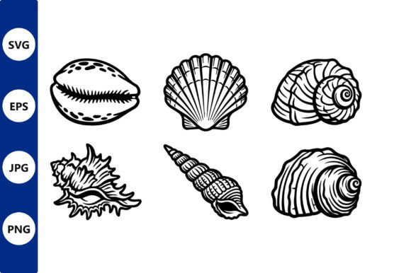 Download Seashells Line Art in Vector Style - Line Collection