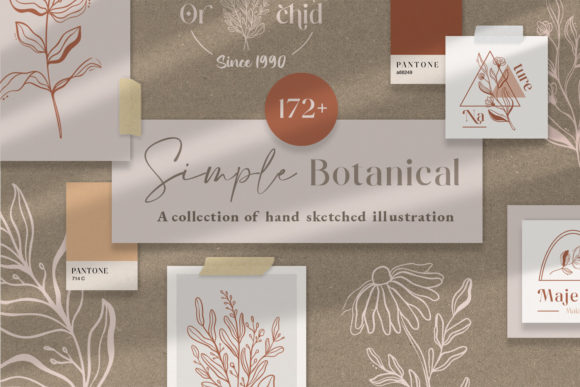 Download Simple Botanical Line Art Flowers - Line Collection