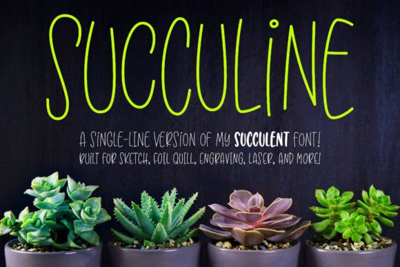 Download Succuline (single Line) - Line Collection