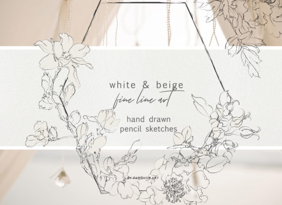 Download Pencil Sketched Fine Line Flowers - Line Collection