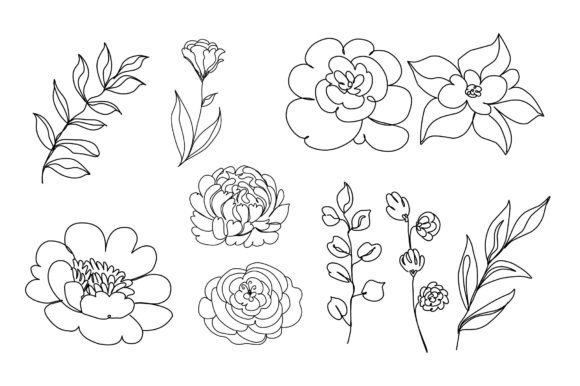 Download Abstract Flower Line Art - Line Collection
