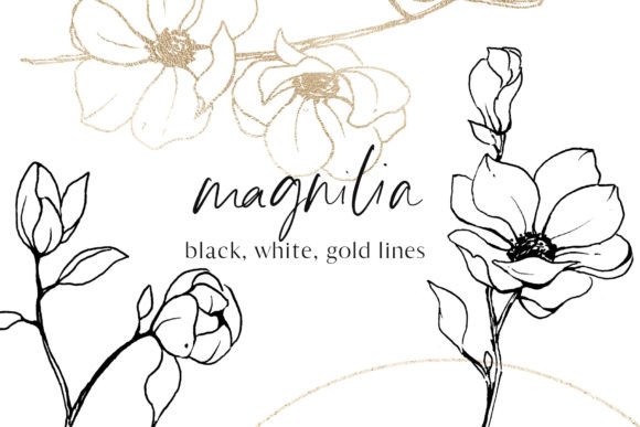 Download Flowers Magnolia Line Art Floral Set - Line Collection
