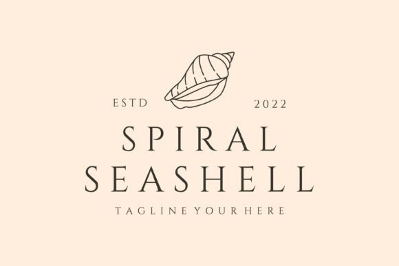Download Spiral Seashell Line Art Logo Vector - Line Collection