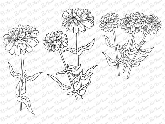 Download Line Art Flowers Arrangements - Line Collection