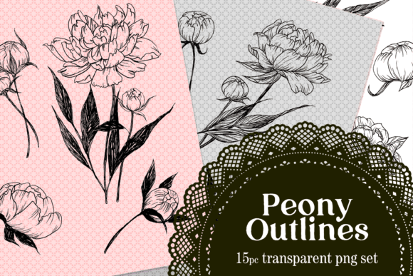 Download Peony Drawn Floral Lines PNG Set - Line Collection
