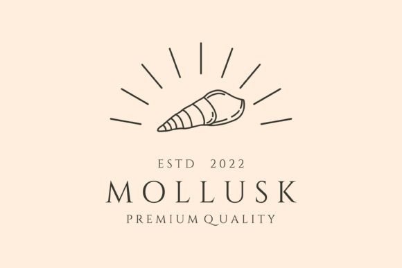Download Mollusk and Sunburst Line Art Logo - Line Collection