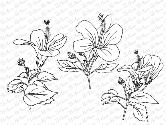 Download Line Art Flowers Arrangements - Line Collection